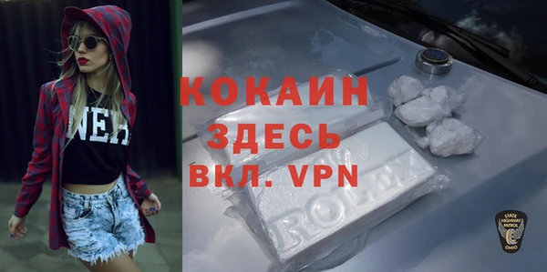 мет Дмитров