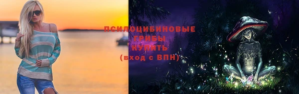 молекула духа Тихвин