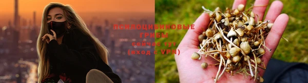 мет Дмитров