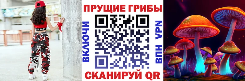 Галлюциногенные грибы мицелий Дигора