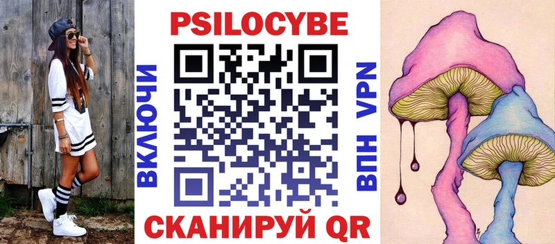 Псилоцибиновые грибы Psilocybe  продажа наркотиков  Дигора 
